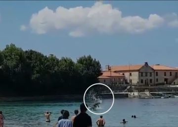Dos delfines sorprenden a los bañistas en una playa gallega