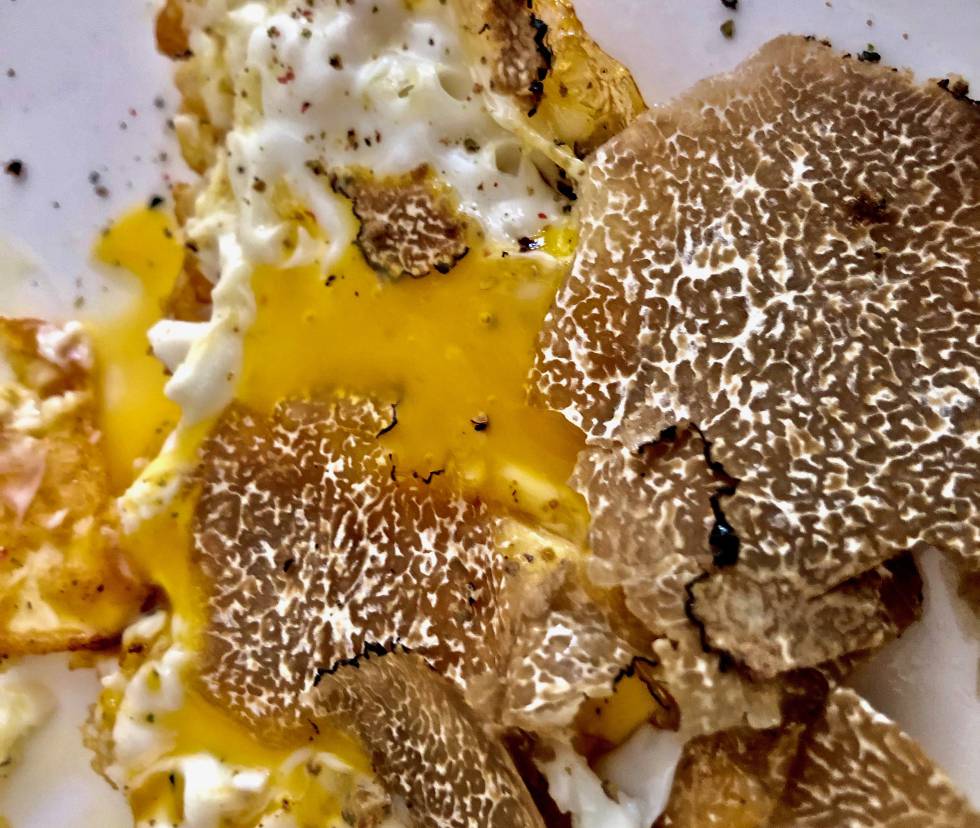 HUEVO FRITO CON TRUFA DE VERANO CAPEL