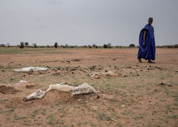La sequía en Senegal deja a 245.000 personas sin alimento