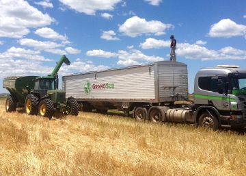 El genoma del trigo: una proeza y un salto de gigante