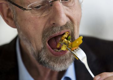A guerra contra o nojo: em breve, a saída será nos alimentarmos de insetos
