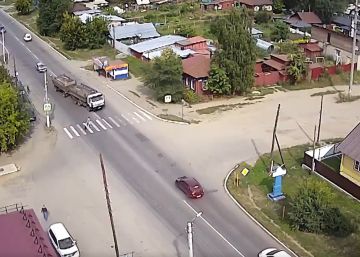 Un perro salva a su dueña de morir atropellada por un camión
