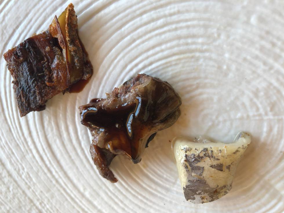 DE ARRIBA ABAJO KOKOTXA, LENGUA Y OPÉRCULO EXTERIOR DEL ATÚN CAPEL