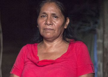Los hijos perdidos de la señora Zenaida