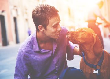 ¿Qué pasa si mi perro me lame la cara?