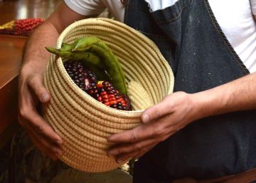 Dos comidas en Quito
