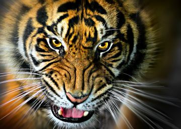 El demonio de los Sundarbans