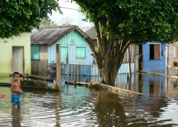 Un siglo de registros muestra que el Amazonas se está desbocando
