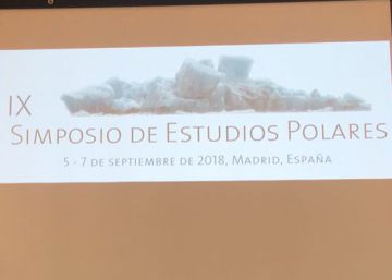 Reencuentro con la familia antártica