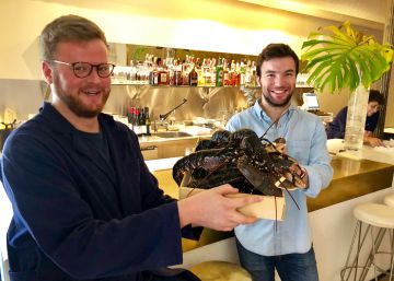 Lobsterie, la democratización del bogavante azul