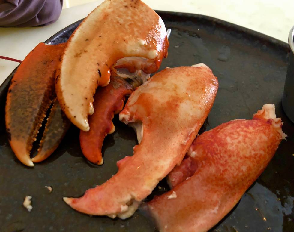 PINZAS, LA PARTE MÁS DELICIOSA DE LOS BOGAVANTES, APARTE DE SU CABEZA CAPEL