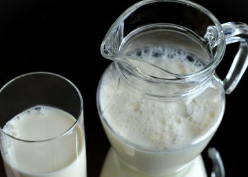 ¿De dónde viene la leche que tomamos?