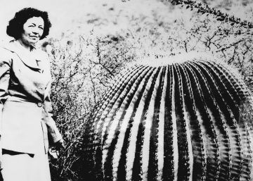 Helia Bravo Hollis, la reina de los cactus