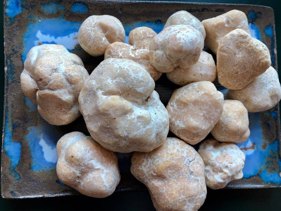 TRUFA DULCE DE HUNGRÍA CAPEL