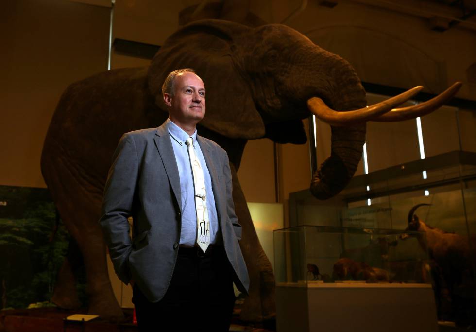 El director del Museo Nacional de Ciencias Naturales, Santiago Merino.