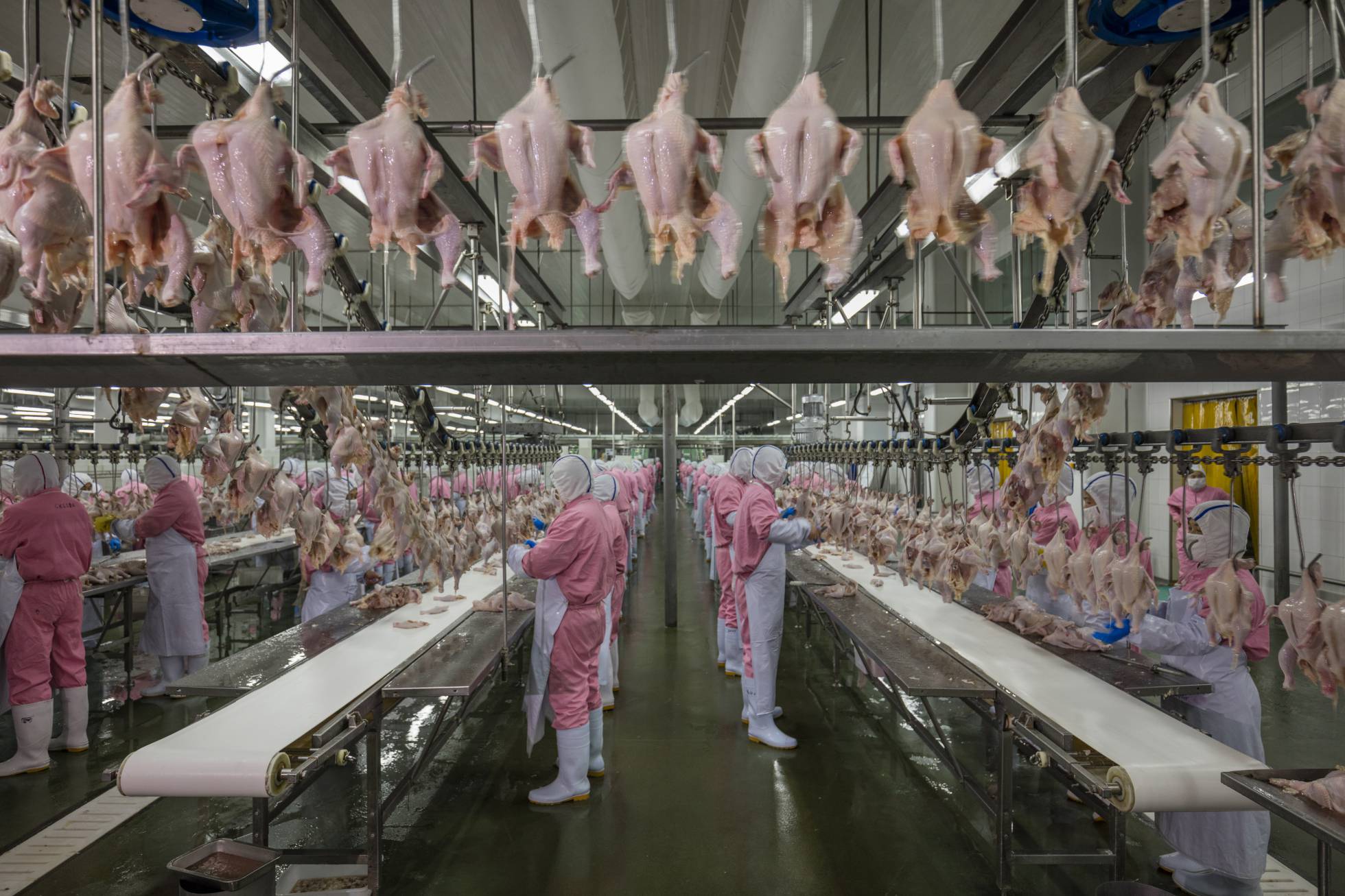 ‘El planeta de la comida’