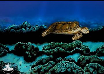 ¿Mujer o tortuga? ¿Qué ve usted en la imagen?