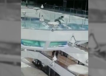 Una mujer cae en un tanque de tiburones que estaba abierto para ser
alimentados