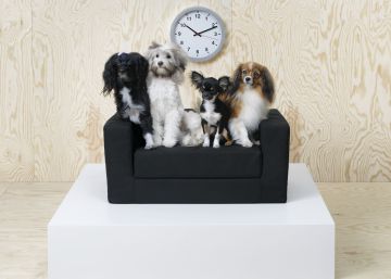 Perros y gatos ya tienen sus muebles de IKEA y se parecen a los tuyos