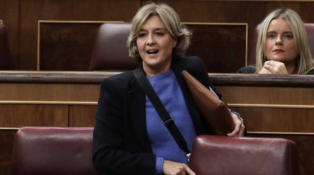 Tejerina, en el Congreso este jueves.