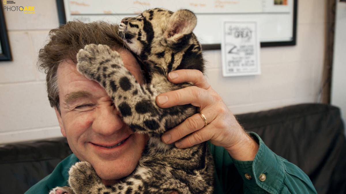 Un pequeño leopardo agarrado a la cabeza de Joel Sartore.