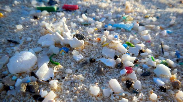 Plásticos en una playa.