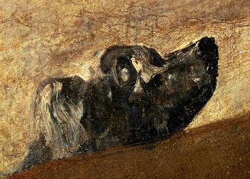 La cabeza del perro La cabeza del perro
