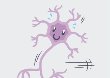 Somos capaces de crear nuevas neuronas a cualquier edad con un sencillo ejercicio (que está en tus manos)