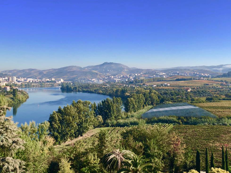 UN MEANDRO DEL DOURO, VEGETACIÓN Y VIÑEDOS CAPEL