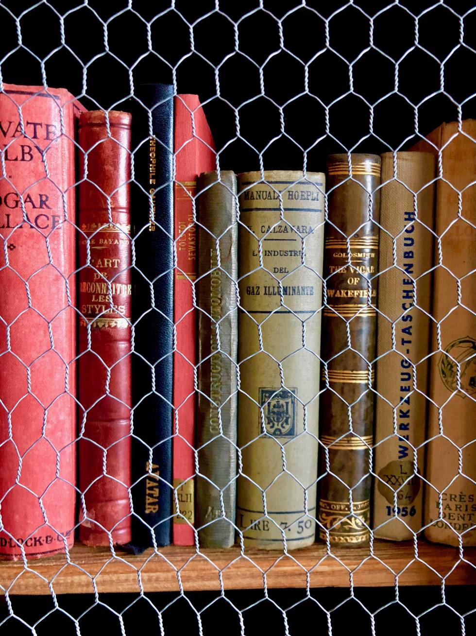COECCION DE LIBROS ANTIGUOS SOBRE ENOLOGÍA Y VITICULTURA CAPEL