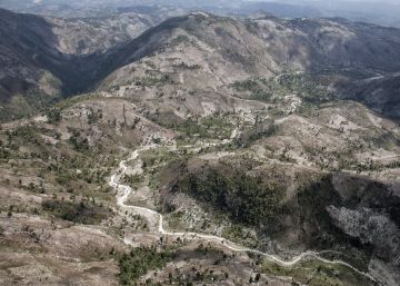 Haití se está quedando sin bosques