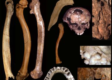 Los humanos ya cuidaban a sus discapacitados hace 200.000 años