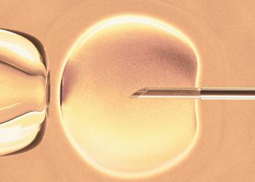 “La maternidad no es un derecho, es un privilegio”