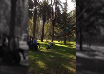 Una modelo sufre una lesión cervical después de ser catapultada durante un rodaje