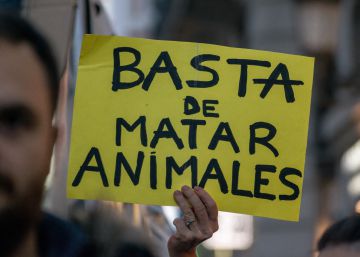 ¿Amas a los animales? Hazte ‘antiespecista’