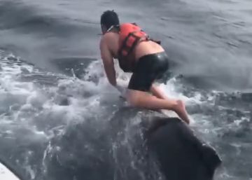 Un pescador salta sobre una ballena enredada para liberarla