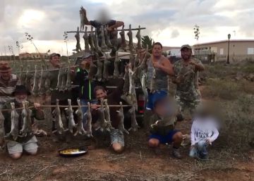 El Seprona investiga el vídeo de una matanza de conejos en Fuerteventura