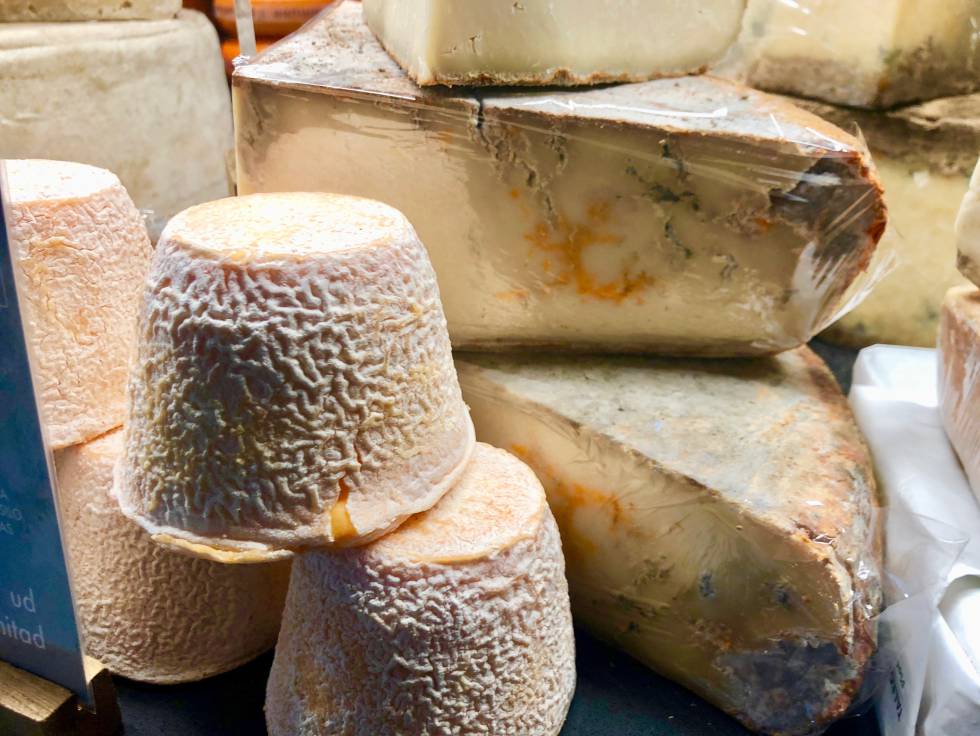 OTROS DOS QUESOS ARTESANOS DE LOS QUE OFRECE LA TIENDA CULTIVO. EN PRIMER PLANO EL REY SILO ROJO. AL FONDO UN QUESO PALMERO AÑEJO CAPEL