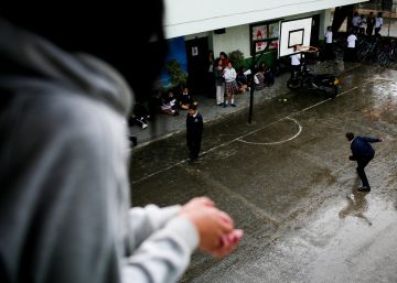 Una asignatura de trata en el currículo escolar