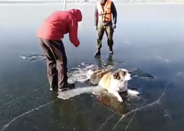 El rescate de un perro que había quedado atrapado en un lago congelado de Rusia