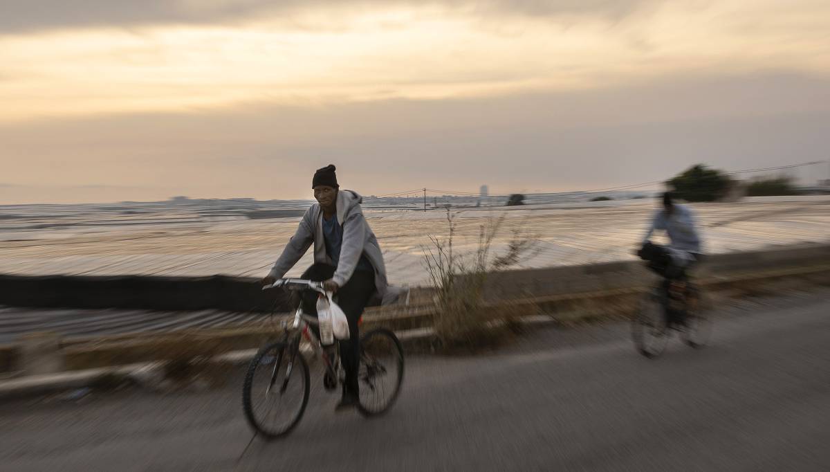 Inmigrantes en bicicleta entre los invernaderos de el Ejido.