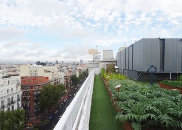 “Diseñar edificios sin vegetación supone olvidar las necesidades de los ciudadanos”