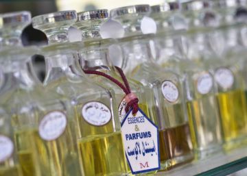 El guardián de las esencias de un perfume de éxito