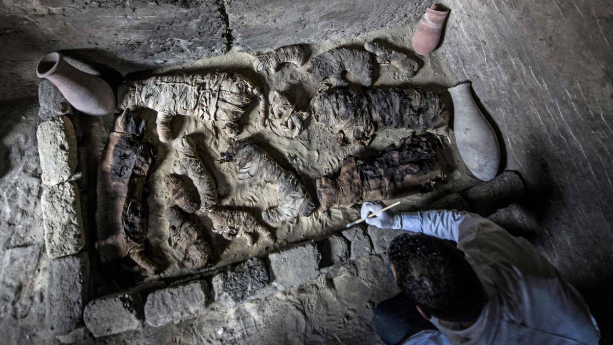 Arqueólogos egipcios limpian los gatos momificados.