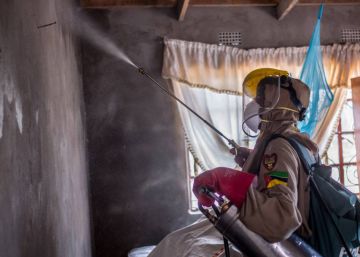Los países que liderarán la guerra contra la malaria, una enfermedad que se resiste a morir