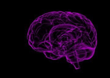 Ética para el estudio del cerebro