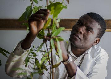 Innovación en el campo, pero que favorezca a la agricultura familiar
