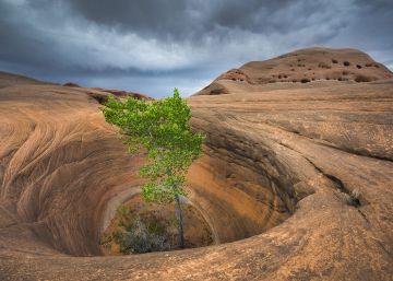 La personalidad del paisaje