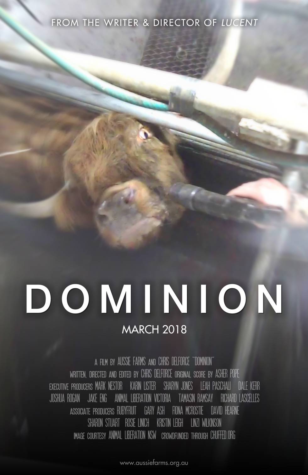 ¿Quién es el animal en esta película?