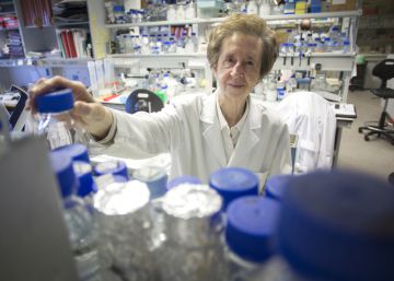 La científica Margarita Salas, en el Centro de Biología Molecular Severo Ochoa, en 2015.